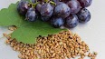 Grapeseed extract — antioxidant-rich ingredient that supports cardiovascular health and healthy blood pressure