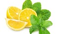 Natural lemon and mint — refreshing flavor with antioxidant and digestive benefits